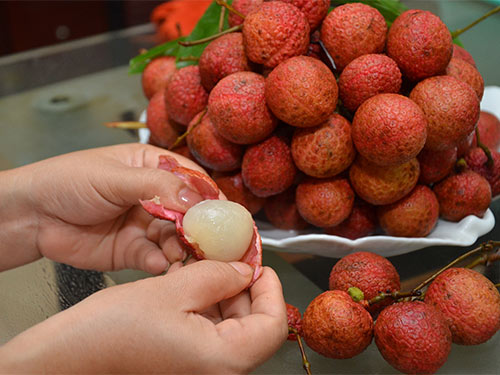  Cho con ăn vải đúng cách 